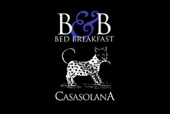 Logo-Casasolana_bg-b